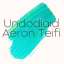 Undodiaid Aeron Teifi