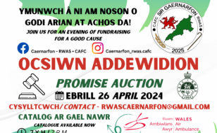 Ocsiwn-Addewidion-Promise-Auction-1