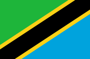 Baner Tanzania