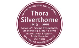 Plac Porffor Thora Silverthorne