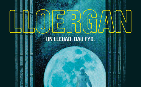 Lloergan