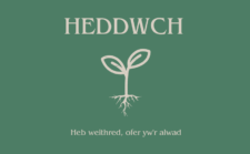 Mudiad Heddwch