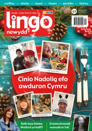 Lingo-Newydd-Rhagfyr-Ionawr-25