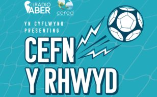Logo Cefn y Rhwyd