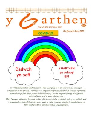 Darllen y rhifyn