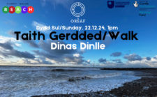 dinas-dinlle-22.12-facebook-1