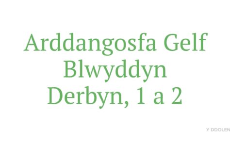 Arddanosfa Gelf Eisteddfod y DDOLEN